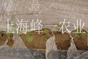 农业产品展示