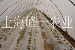 农业产品展示