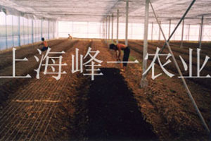 农业产品展示