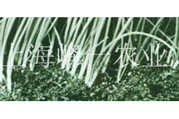 农业产品展示