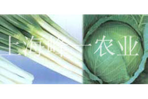 农业产品展示
