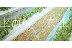 农业产品展示