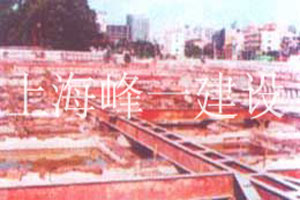 凌翌工程LY002